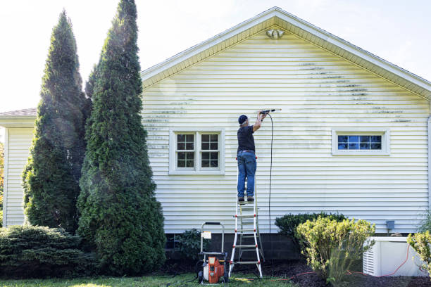 Best Best Pressure Washing Companies  in Kitsap Lake, WA